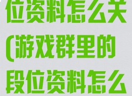 游戏群里的段位资料怎么关(游戏群里的段位资料怎么关了)