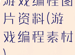 游戏编程图片资料(游戏编程素材)