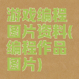 游戏编程图片资料(编程作品图片)