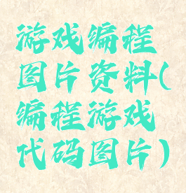 游戏编程图片资料(编程游戏代码图片)