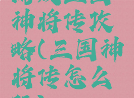 游戏三国神将传攻略(三国神将传怎么玩)