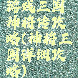 游戏三国神将传攻略(神将三国详细攻略)
