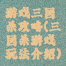 游戏三国杀攻略(三国杀游戏玩法介绍)