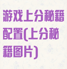 游戏上分秘籍配置(上分秘籍图片)