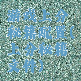 游戏上分秘籍配置(上分秘籍文件)