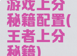 游戏上分秘籍配置(王者上分秘籍)