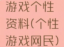游戏个性资料(个性游戏网民)