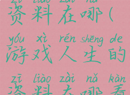 游戏人生的资料在哪(游戏人生的资料在哪看)