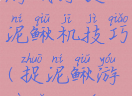 游戏厅捉泥鳅机技巧(捉泥鳅游戏怎么玩)