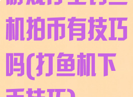 游戏厅里钓鱼机拍币有技巧吗(打鱼机下币技巧)
