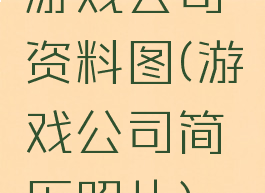 游戏公司资料图(游戏公司简历照片)