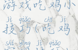 游戏吃鸡小技巧(吃鸡实用技巧)