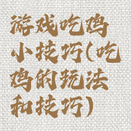 游戏吃鸡小技巧(吃鸡的玩法和技巧)