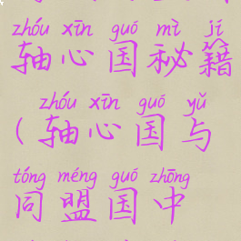 游戏同盟国轴心国秘籍(轴心国与同盟国中文版秘籍)