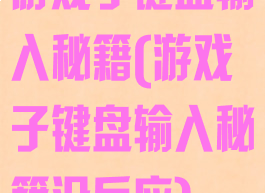 游戏子键盘输入秘籍(游戏子键盘输入秘籍没反应)