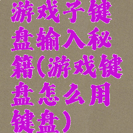 游戏子键盘输入秘籍(游戏键盘怎么用键盘)