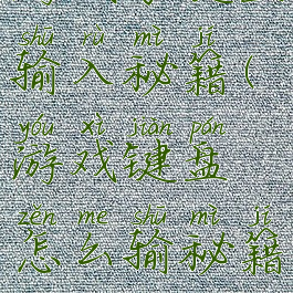 游戏子键盘输入秘籍(游戏键盘怎么输秘籍)