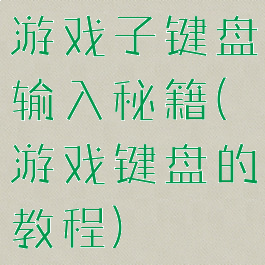 游戏子键盘输入秘籍(游戏键盘的教程)