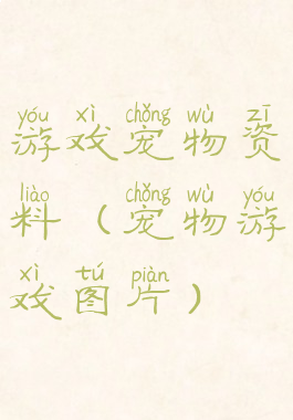 游戏宠物资料(宠物游戏图片)