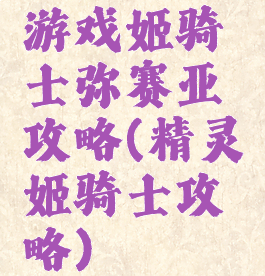 游戏姬骑士弥赛亚攻略(精灵姬骑士攻略)