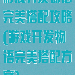 游戏开发物语完美搭配攻略(游戏开发物语完美搭配方案)