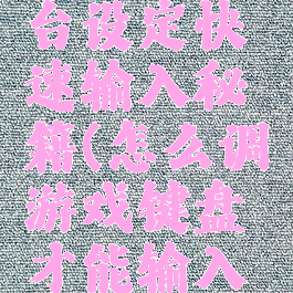 游戏控制台设定快速输入秘籍(怎么调游戏键盘才能输入秘籍)