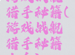 游戏战舰猎手秘籍(游戏战舰猎手秘籍大全)