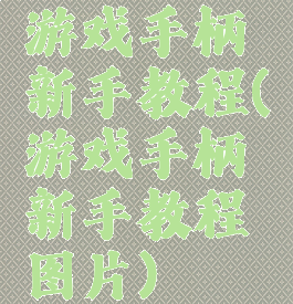 游戏手柄新手教程(游戏手柄新手教程图片)
