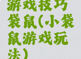 游戏技巧袋鼠(小袋鼠游戏玩法)