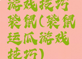 游戏技巧袋鼠(袋鼠运瓜游戏技巧)