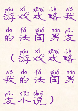 游戏攻略我的法国男友(游戏攻略我的法国男友小说)