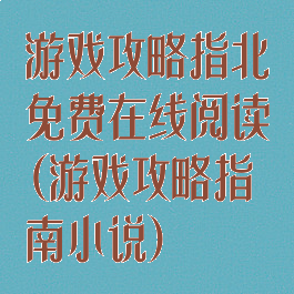 游戏攻略指北免费在线阅读(游戏攻略指南小说)