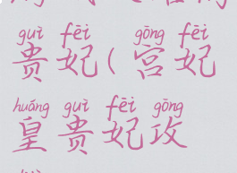 游戏攻略高贵妃(宫妃皇贵妃攻略)