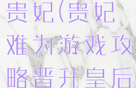 游戏攻略高贵妃(贵妃难为游戏攻略晋升皇后)