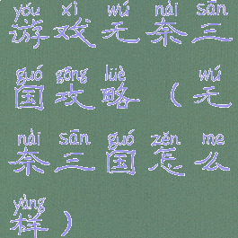 游戏无奈三国攻略(无奈三国怎么样)