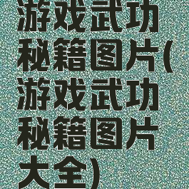 游戏武功秘籍图片(游戏武功秘籍图片大全)