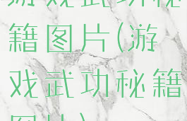 游戏武功秘籍图片(游戏武功秘籍图片)