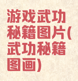 游戏武功秘籍图片(武功秘籍图画)