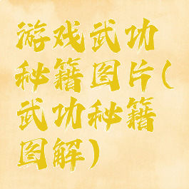 游戏武功秘籍图片(武功秘籍图解)