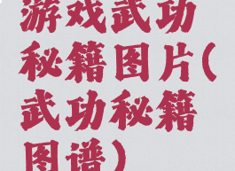 游戏武功秘籍图片(武功秘籍图谱)