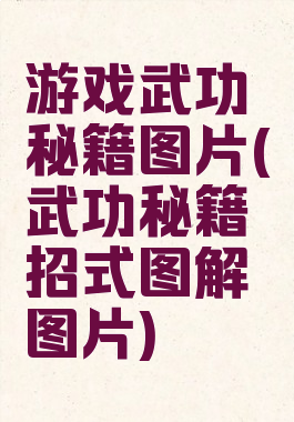 游戏武功秘籍图片(武功秘籍招式图解图片)