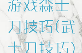 游戏森士刀技巧(武士刀技巧)