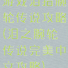 游戏泪指腕轮传说攻略(泪之腕轮传说完美中文攻略)