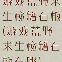 游戏荒野求生秘籍石板(游戏荒野求生秘籍石板在哪)