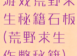 游戏荒野求生秘籍石板(荒野求生作弊秘籍)
