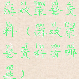 游戏荣誉资料(游戏荣誉资料有哪些)