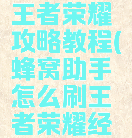 游戏蜂窝王者荣耀攻略教程(蜂窝助手怎么刷王者荣耀经验)