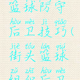 游戏街头篮球防守后卫技巧(街头篮球组织后卫攻略)