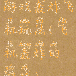 游戏轰炸飞机玩法(飞机轰炸的游戏)