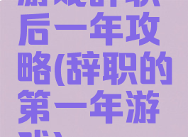 游戏辞职后一年攻略(辞职的第一年游戏)
